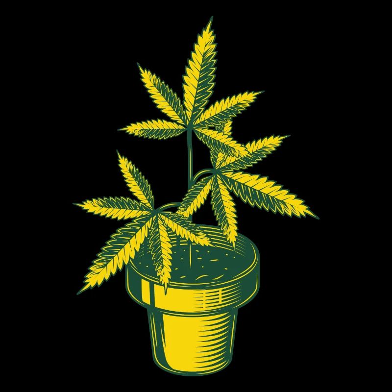 Plante de chanvre de cannabis