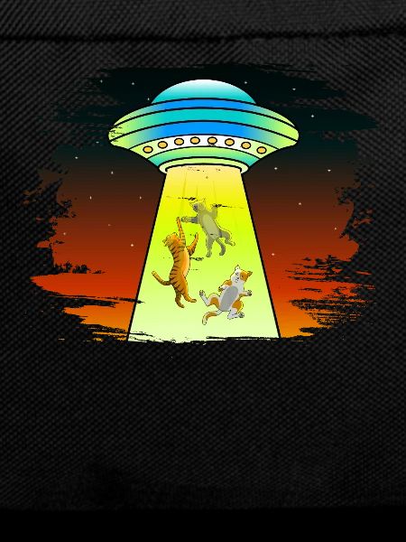 UFOS Alien Abduction Cats