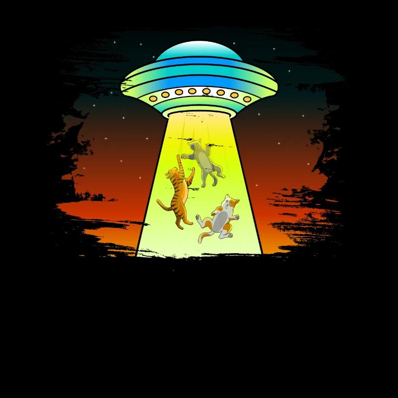 UFOS Alien Abduction Chats