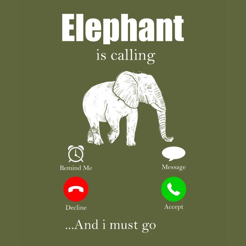 Elephant Elephant Elephant Proboscis Zoo Circus