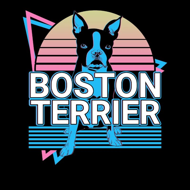 Boston Terrier Rétro