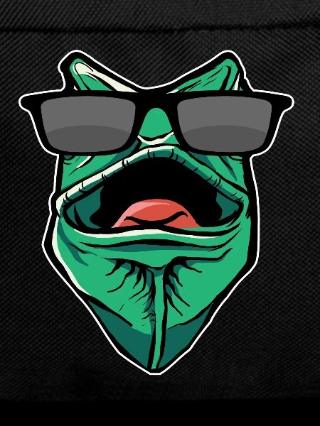 Funny Gecko With Sunglasses