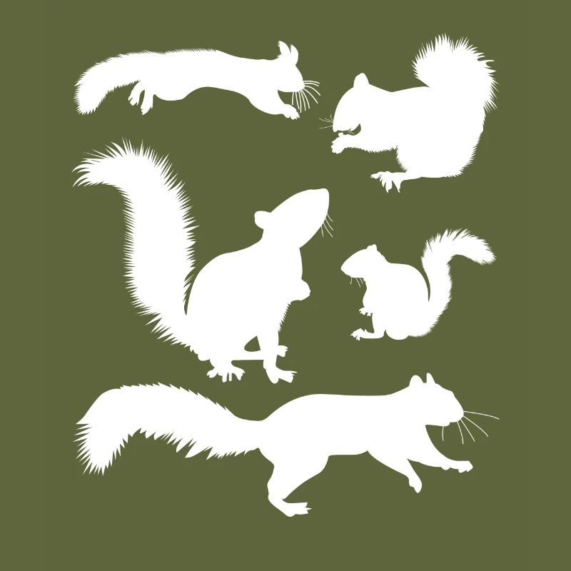 Squirrel, cute squirrel lover,