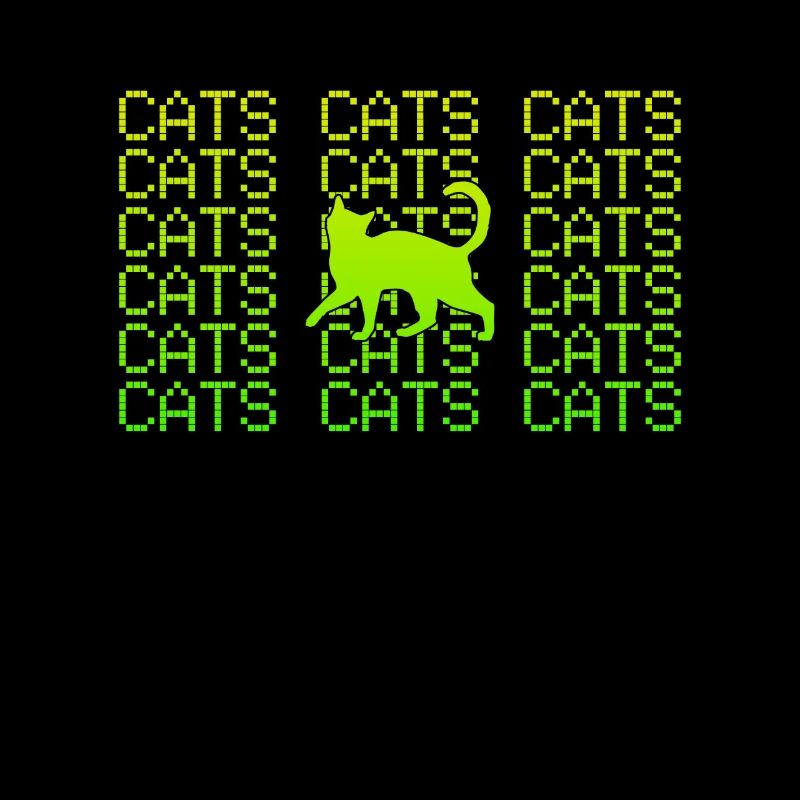 Chat