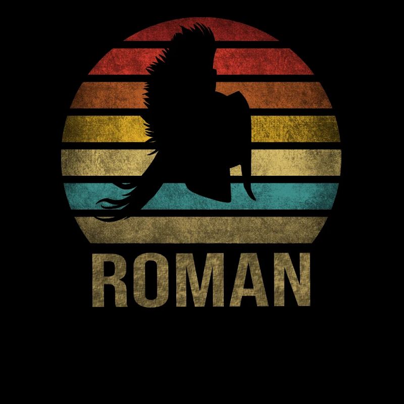 Plumed War Helmet Rome Sparta Retro Sunset