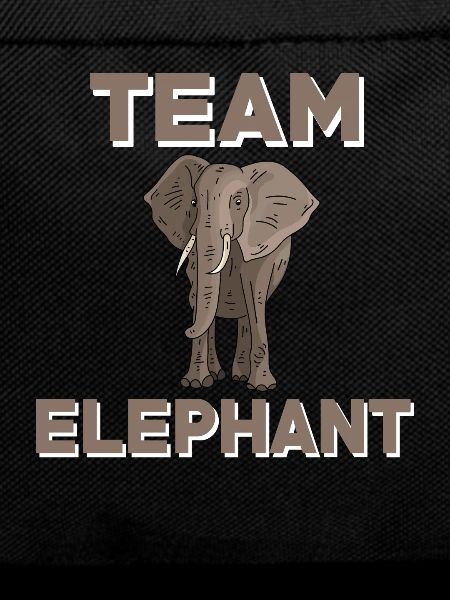 Équipe Elephant