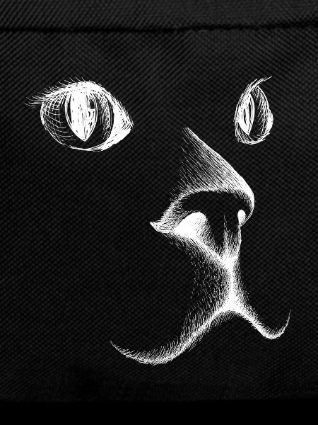 Visage de chat