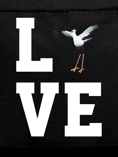 Dear Secretary Bird