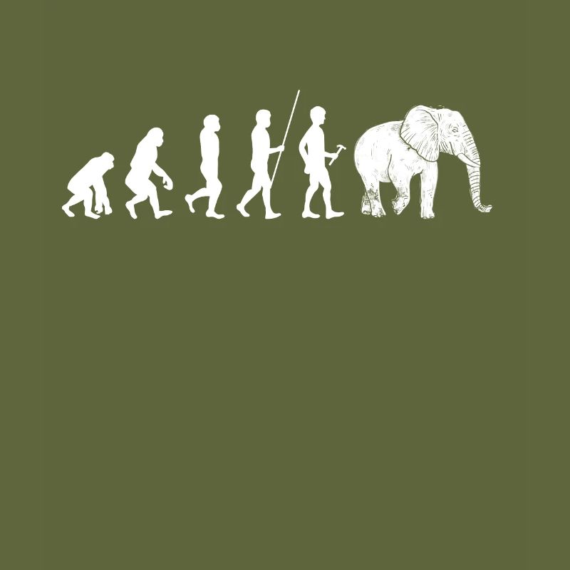 Éléphant Éléphant Éléphant Proboscis Zoo Cirque