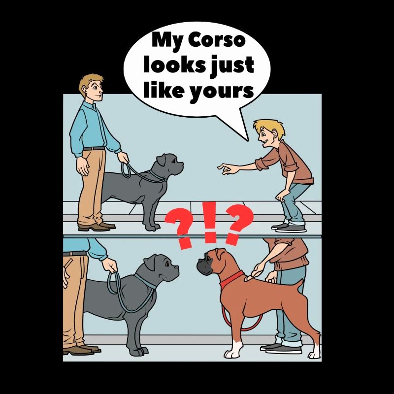 Cane Corso Verwechslung Boxer