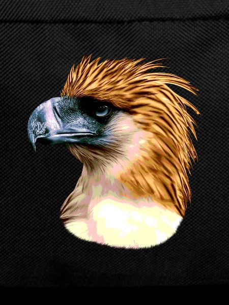 Philippine Eagle