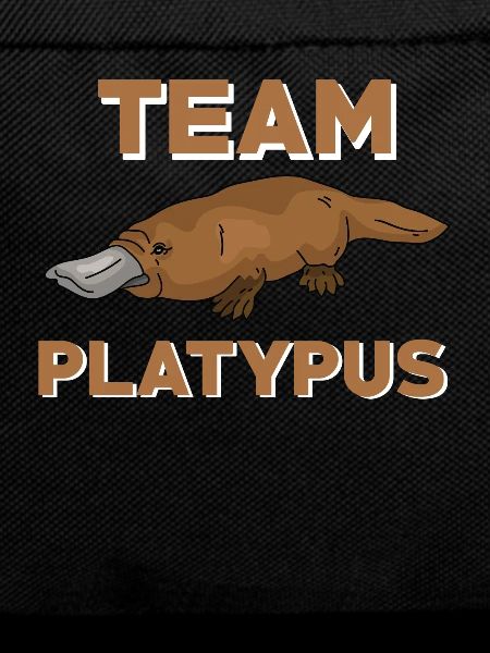 Team Platypus