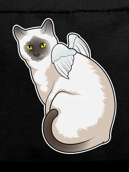 Cat Angel Wings