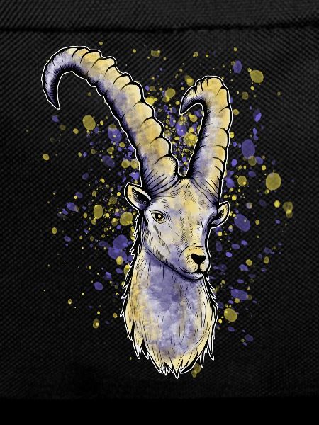 Steinbock Astrologie