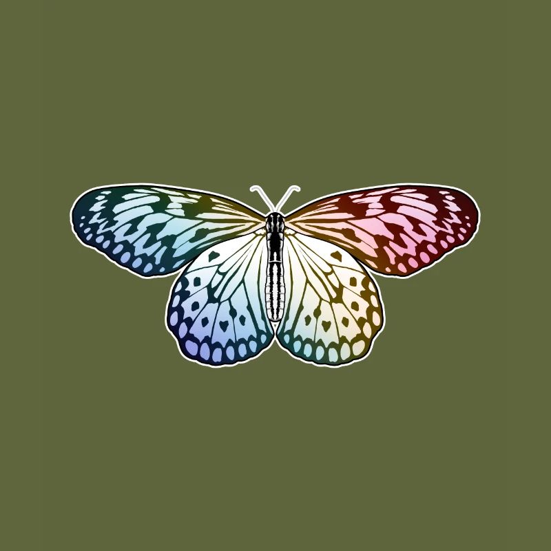 Schmetterling Regenbogen