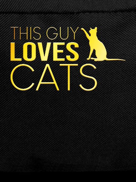 Typ Katze Spruch