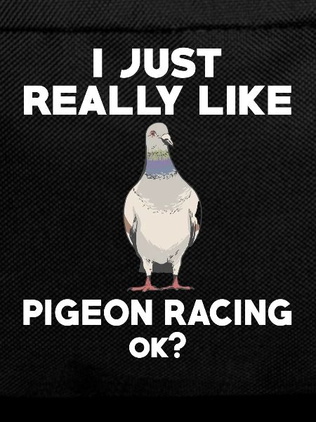 Lovers of pigeon sports
