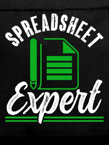 Spreadsheet Experte Buchhalter Tabelle Arbeit