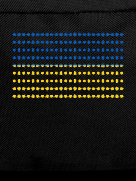Ukraine flag