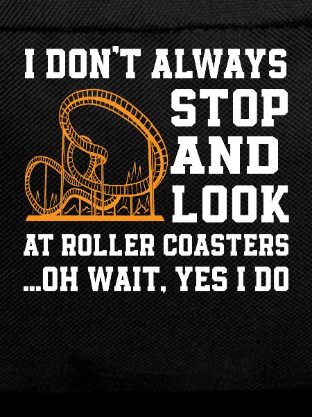 Fun Roller Coaster Gift