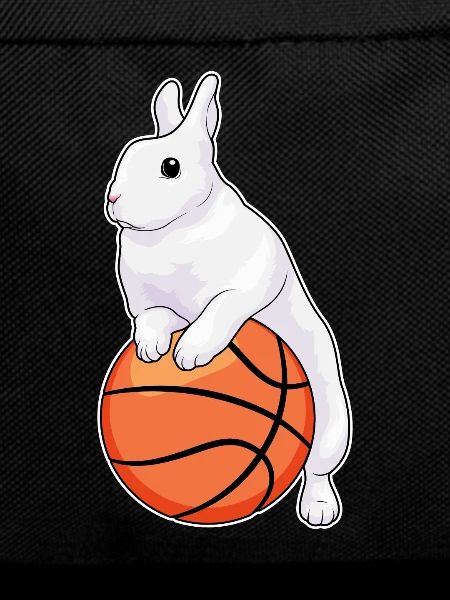 Rabbit Basketball Player Basketball