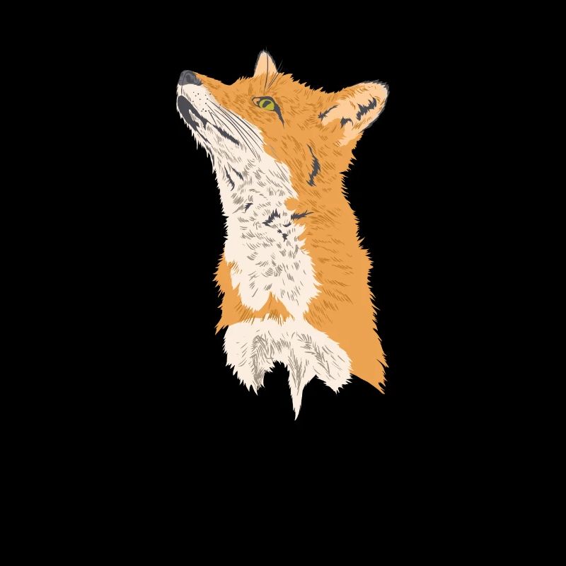 Fox Animal Wilderness Nature Environment