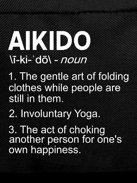 Aikido explanation funny