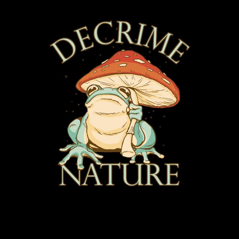 Decrime Nature Colorful Magic Mushroom Frog