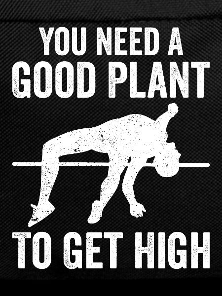 Fun pole vault
