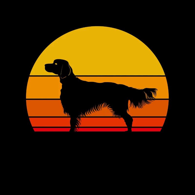 Irish Red and White Setter