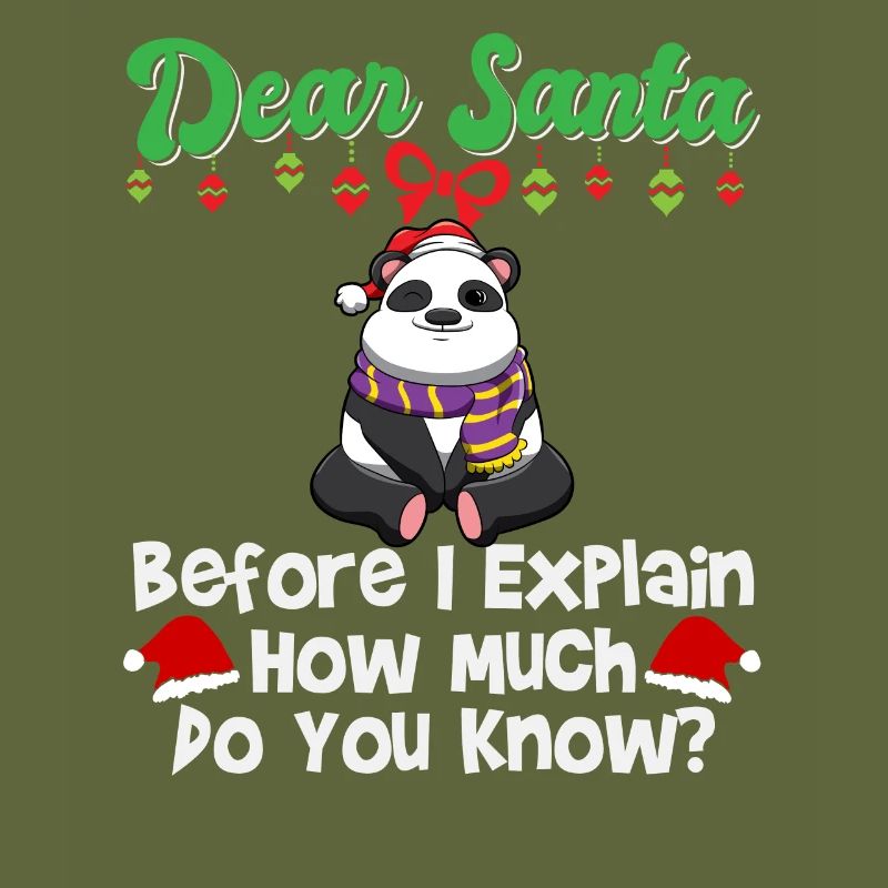 Dear Santa Before I Explain How Much Do You Know
