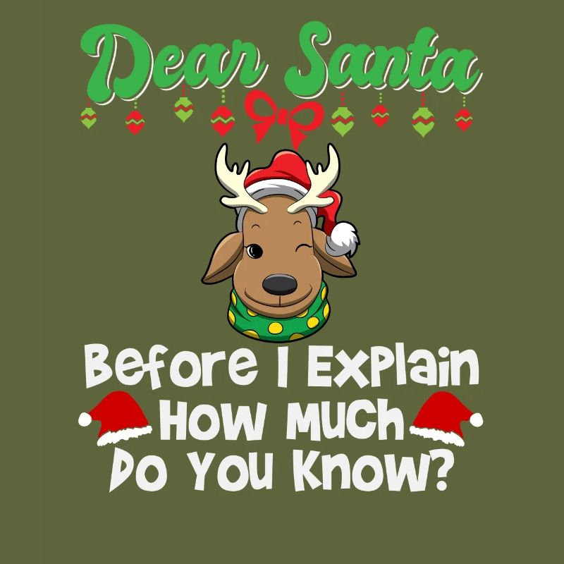 Dear Santa Before I Explain How Much Do You Know