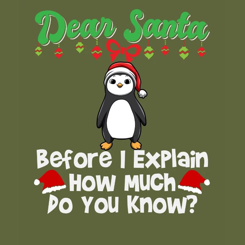 Dear Santa Before I Explain How Much Do You Know