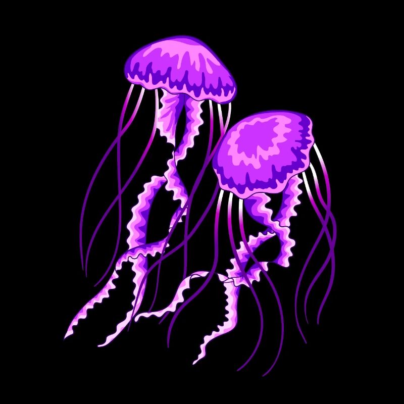 Jellyfish
