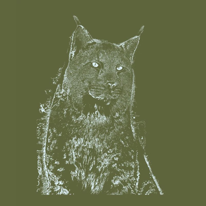 Lynx art