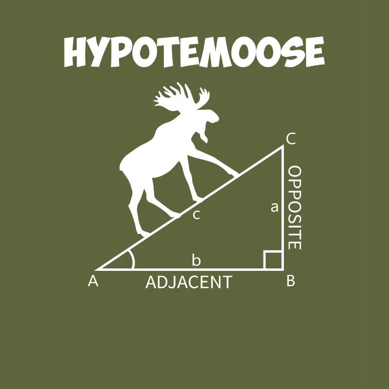 hypotemoose, math teacher hypotemoose