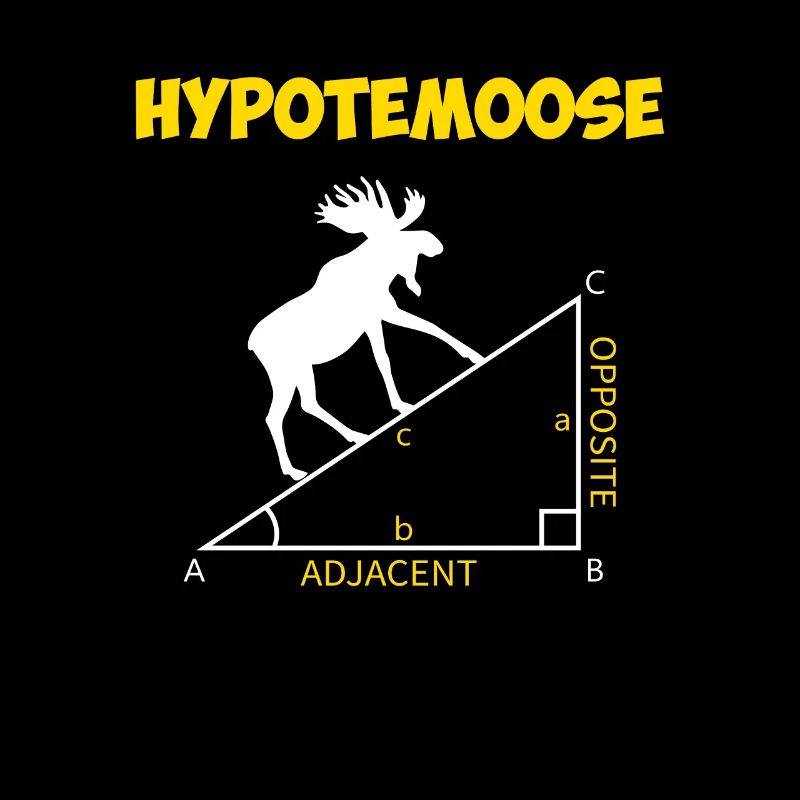 hypotemoose, math teacher hypotemoose