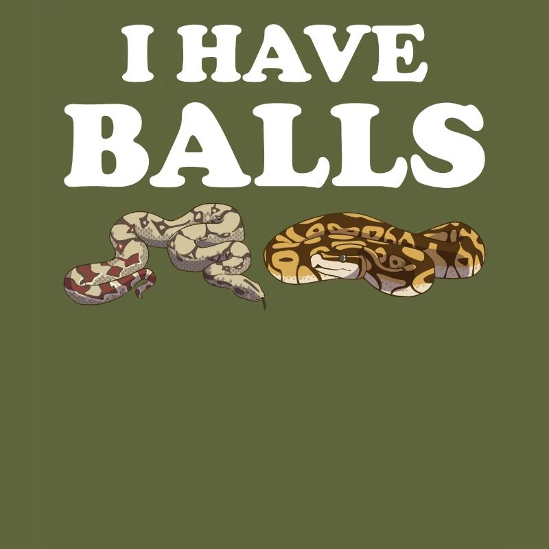 Funny Ball Python Snake