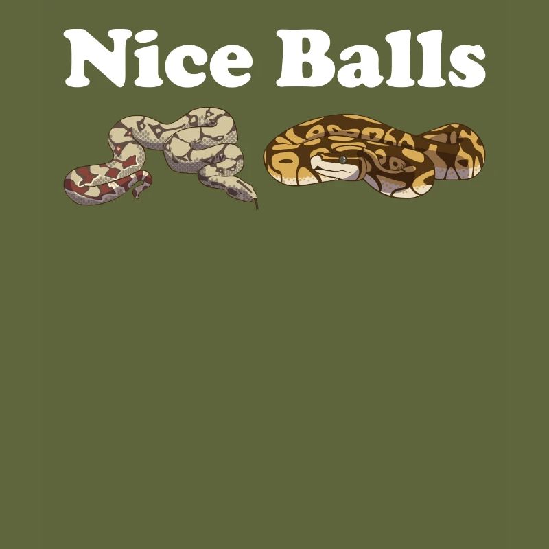 Funny Ball Python Snake