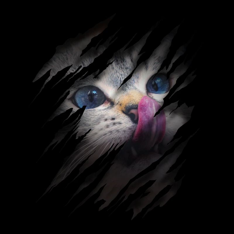 Cat with scratch - Cat face Scratch Cat