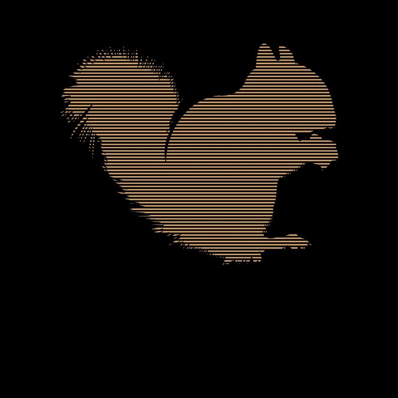 Eichhörnchen