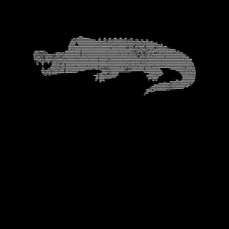 Crocodile
