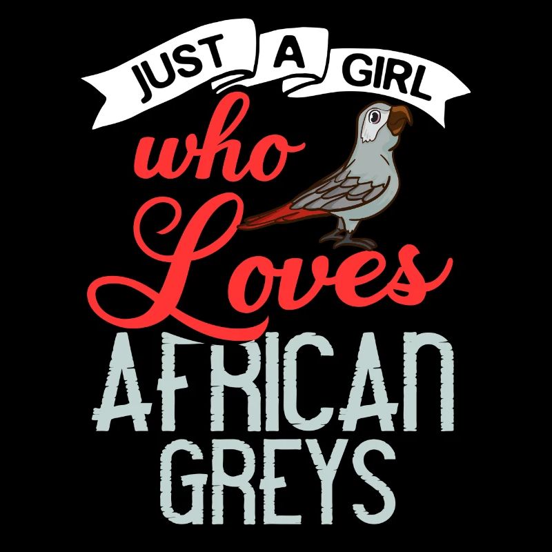 Afrikanischer Graupapagei Papagei Vogel Afrika