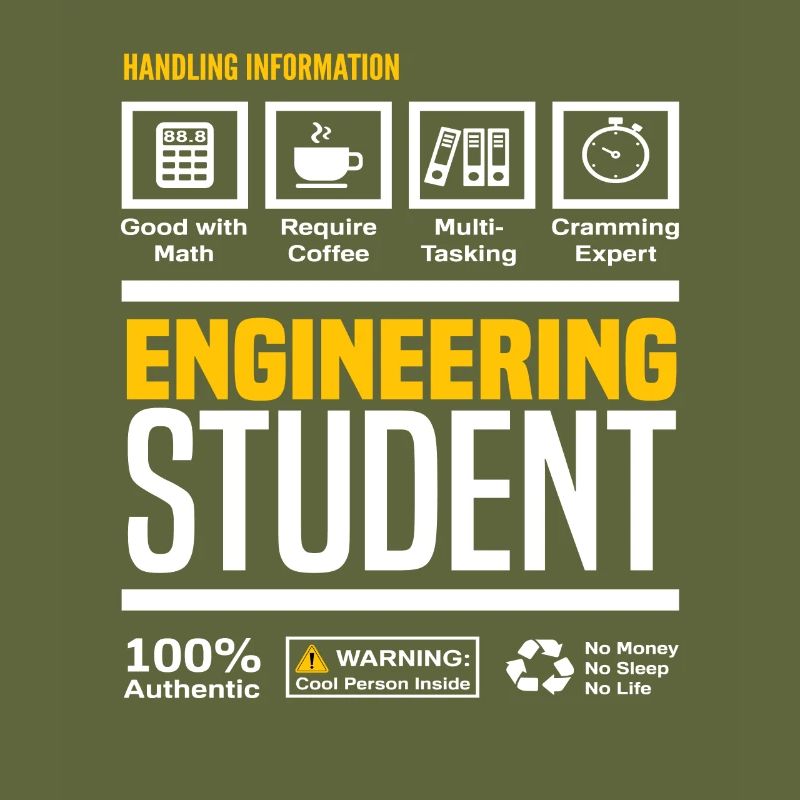 Engineering Student Studies Degree