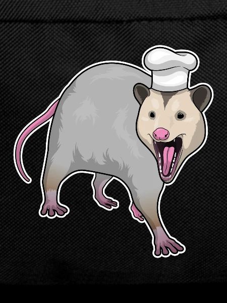 Cooking Cook's Hat