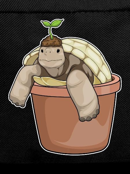 Schildkröte Setzling
