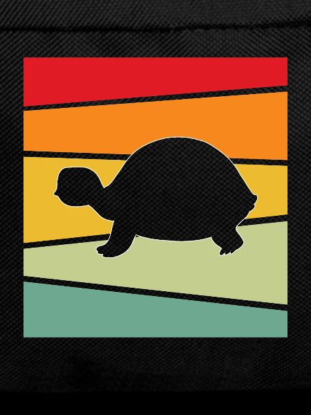 Turtle Retro