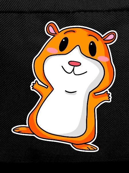 Cute guinea pig