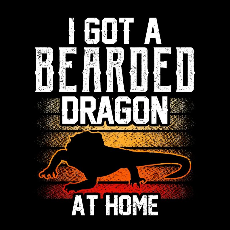 Ich Habe Eine Bartagame Zu Hause Bearded Dragon