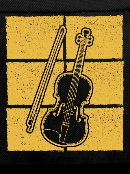 Violin Violinist Violinist